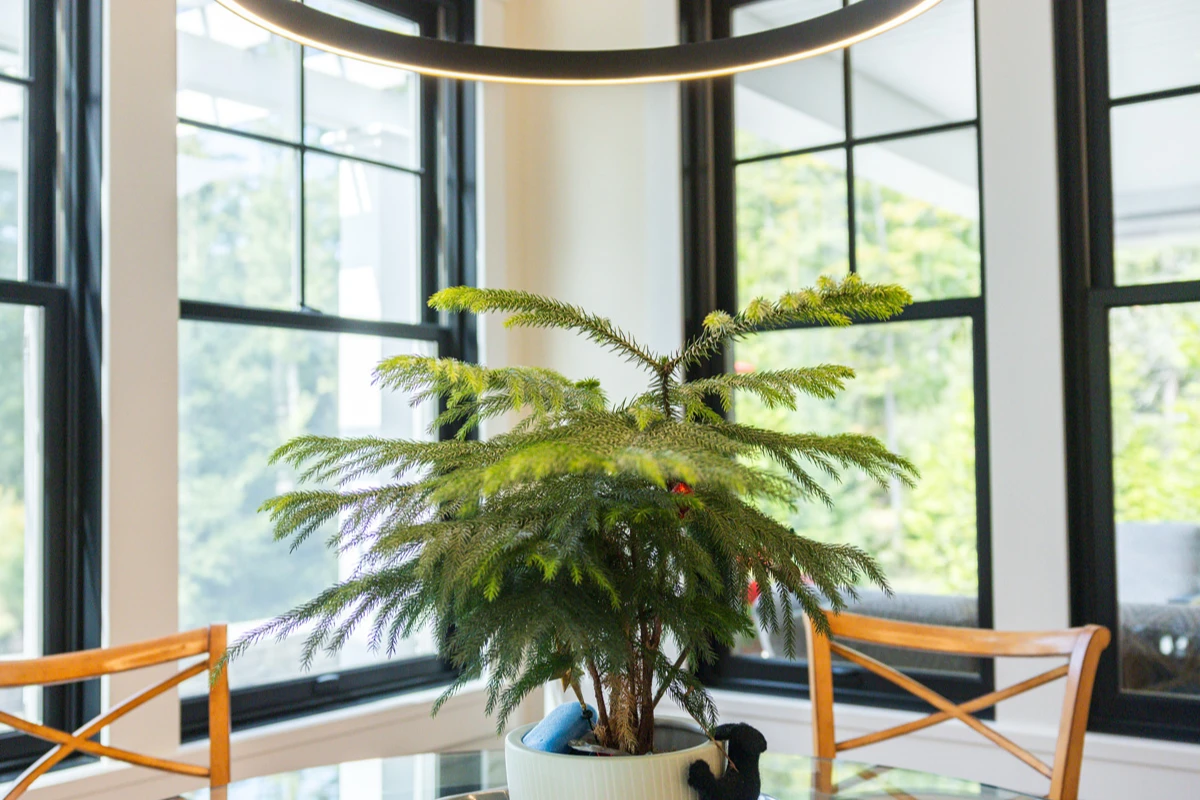 Restrained palette kitchen designed around art in Waverly, PA